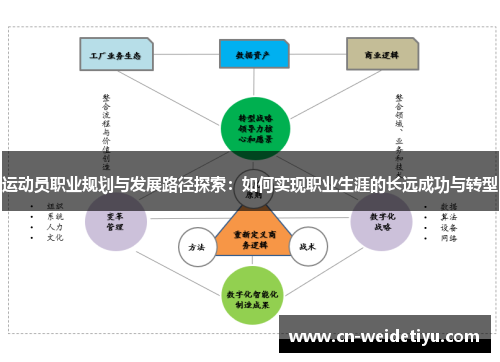 运动员职业规划与发展路径探索：如何实现职业生涯的长远成功与转型