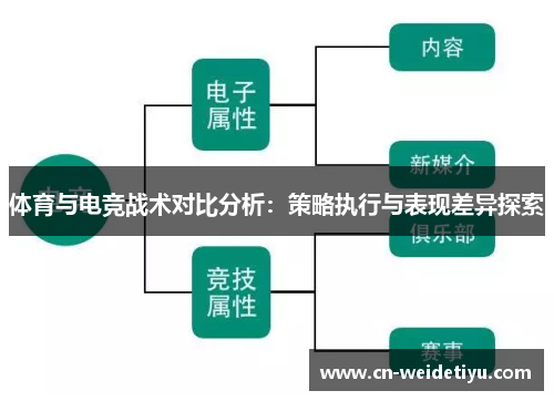 体育与电竞战术对比分析：策略执行与表现差异探索