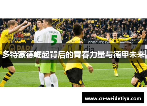 多特蒙德崛起背后的青春力量与德甲未来