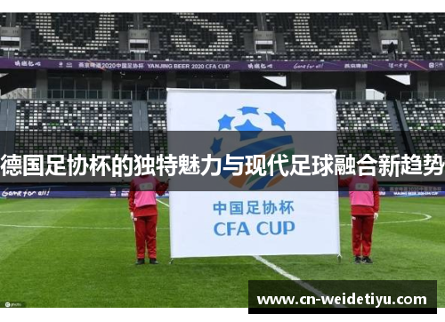 德国足协杯的独特魅力与现代足球融合新趋势
